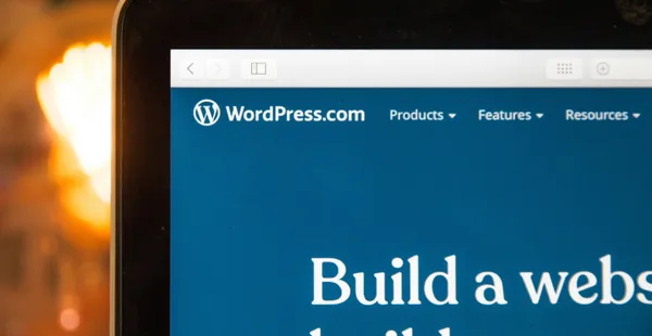 Why developers are so divided over WordPress
