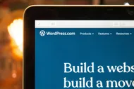 why-developers-divided-over-wordpress