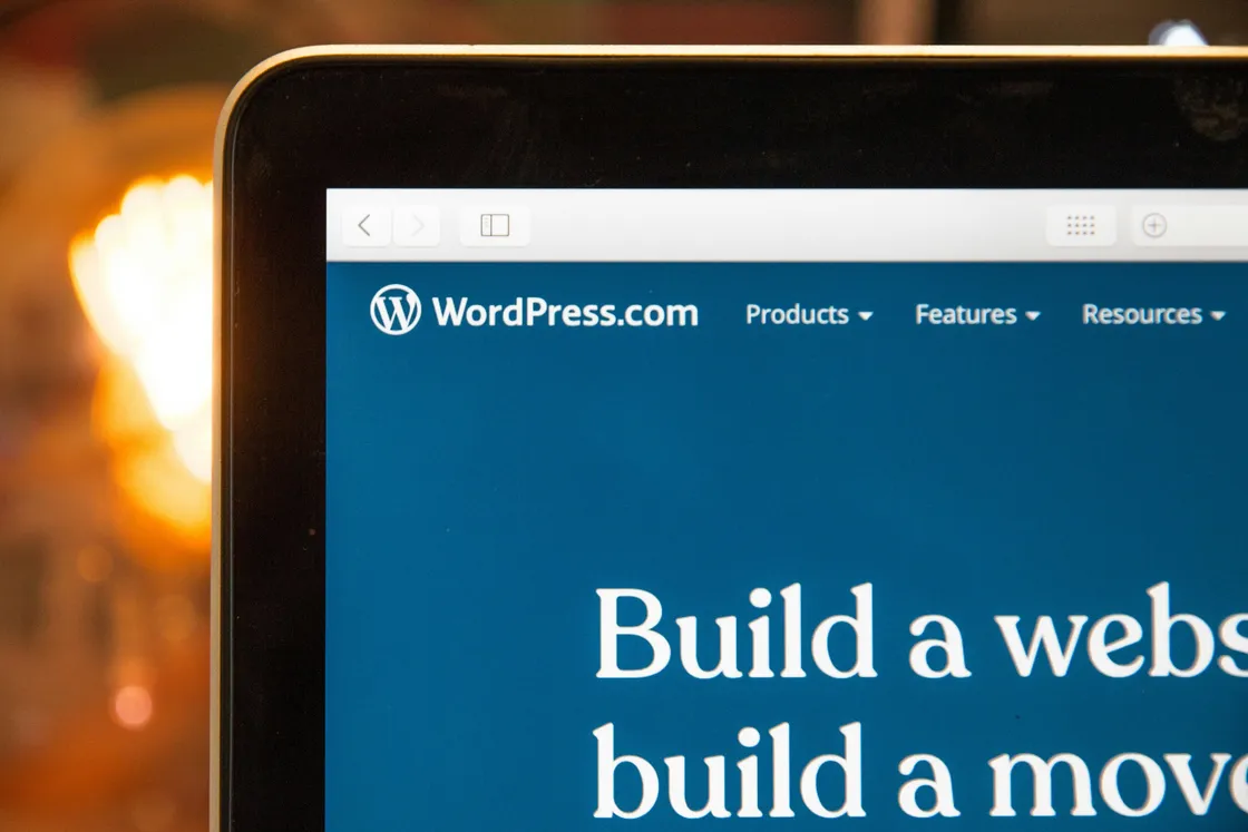 Why developers are so divided over WordPress