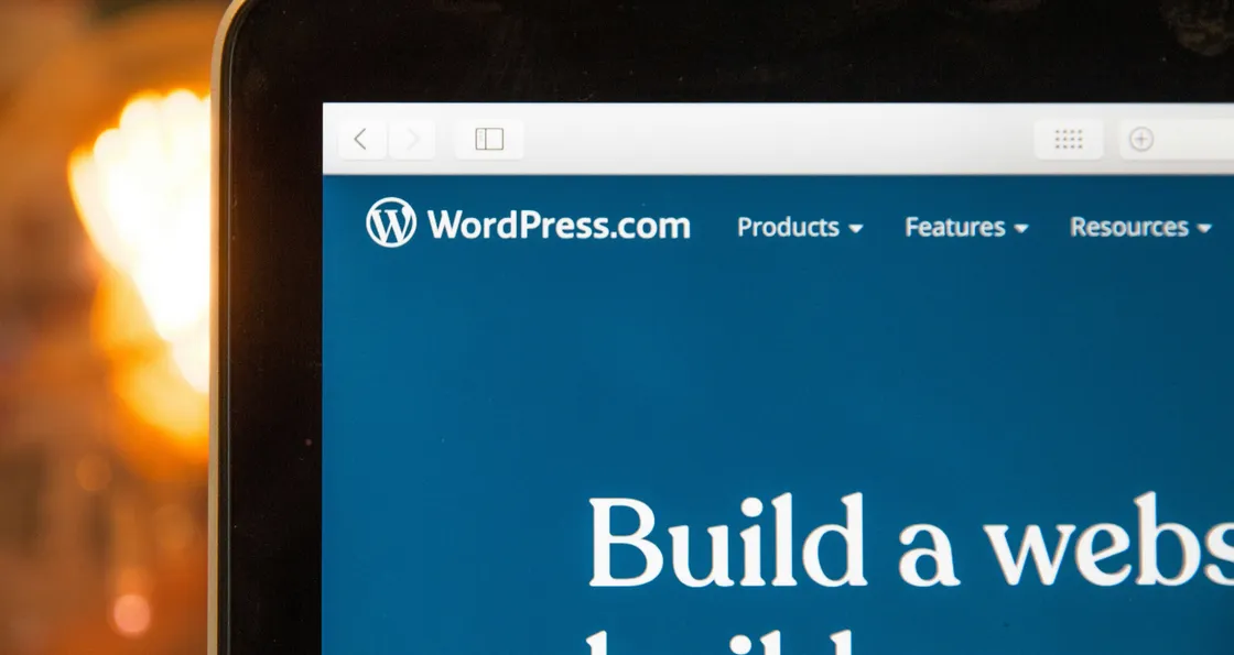Why developers are so divided over WordPress